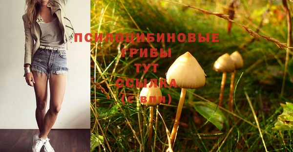 гидра Нязепетровск