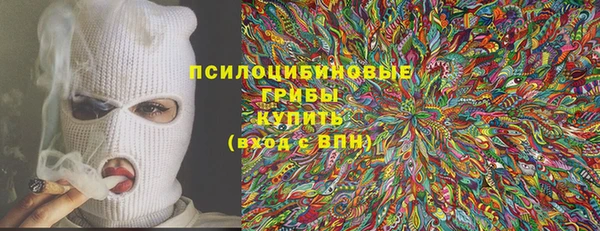 гидра Нязепетровск