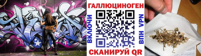 Галлюциногенные грибы GOLDEN TEACHER  где продают наркотики  Татарск 