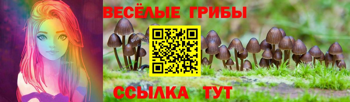 купить наркотик  Вход с VPN  Татарск  Галлюциногенные грибы ЛСД  Псилоцибиновые грибы MAGIC MUSHROOMS 